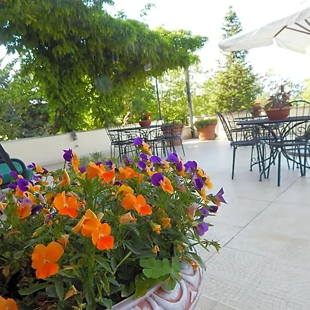 Bed & Breakfast La Meta Settefrati (Frosinone)